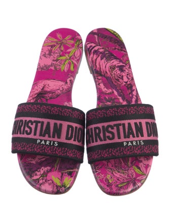 Christian Dior Canvas Printed Slides