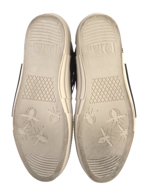 DIOR x Peter Doig B23 Sneakers