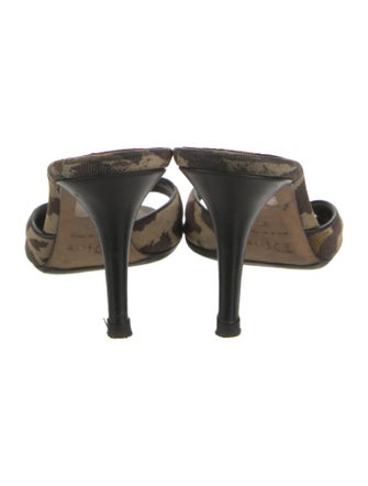 Christian Dior Diorissimo Pattern Canvas Slides