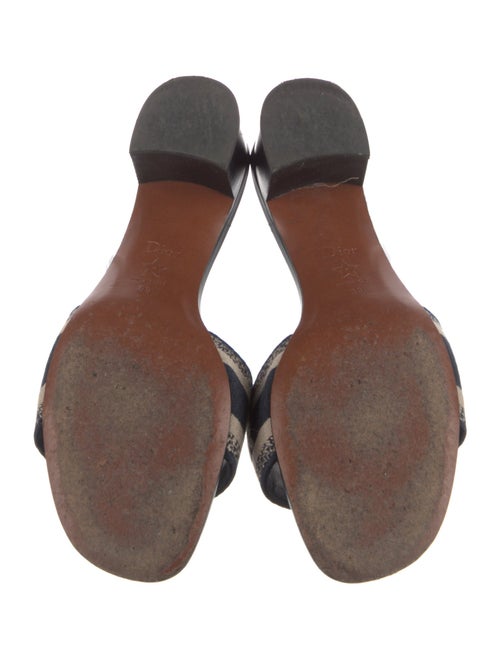 Christian Dior Leather Printed Slides