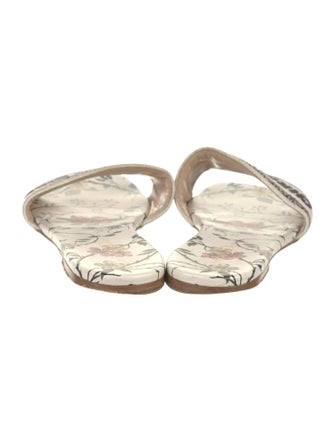 Christian Dior Canvas Printed Slides