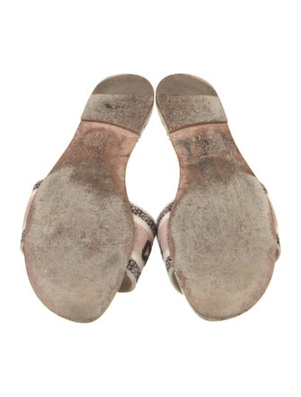 Christian Dior Canvas Printed Slides