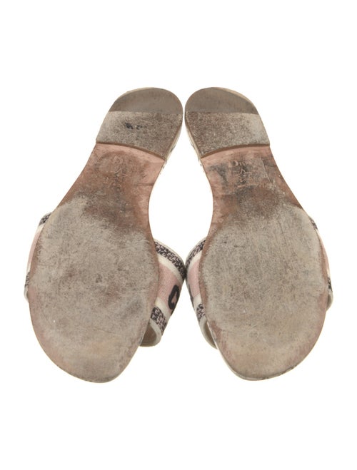 Christian Dior Canvas Printed Slides