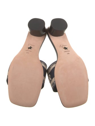 Christian Dior Canvas Printed Slides