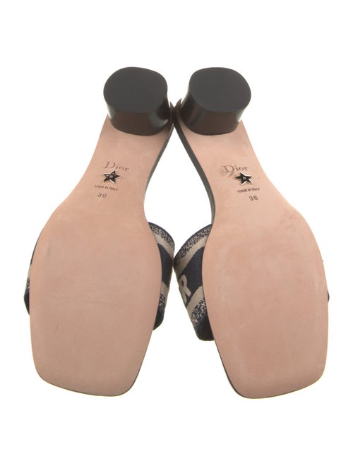 Christian Dior Canvas Printed Slides