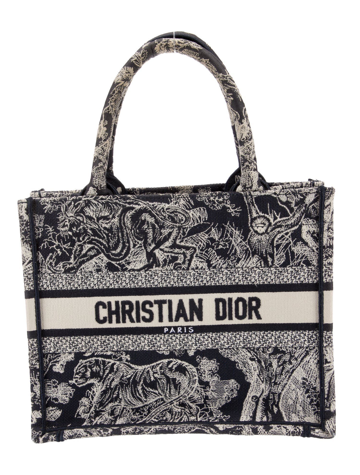 Christian Dior Canvas Book 2024