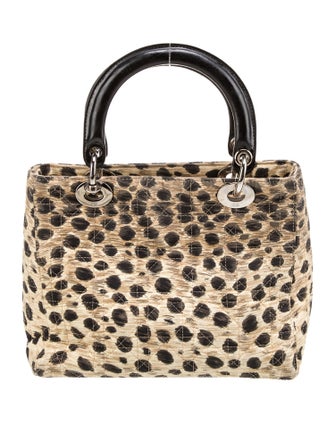 Christian Dior Cannage Lady Dior