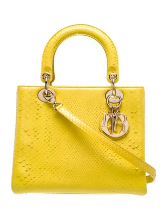 Christian Dior Snakeskin Top Handle Bag Medium