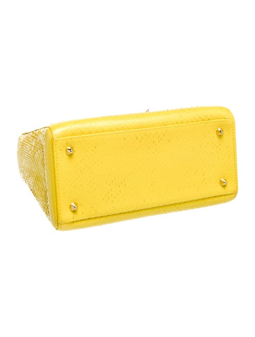 Christian Dior Snakeskin Top Handle Bag Medium