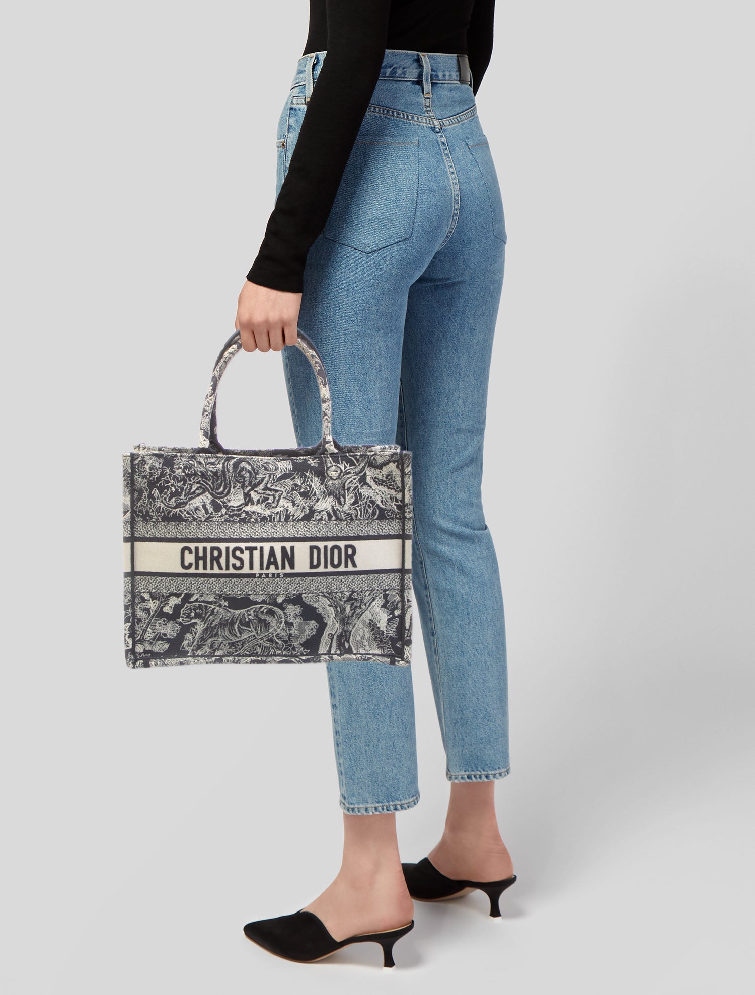 Christian Dior Canvas Book Medium 2022