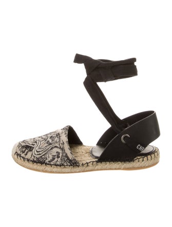 Christian Dior Canvas Printed Espadrilles