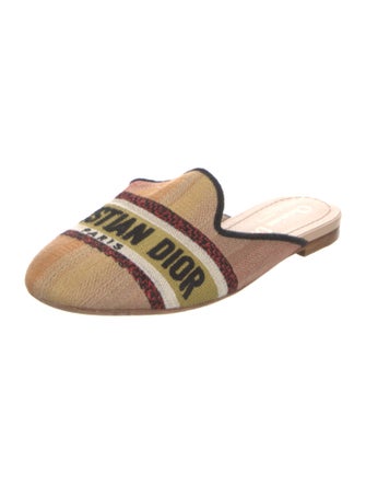 Christian Dior Canvas Graphic Print Mules