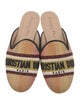 Christian Dior Canvas Graphic Print Mules