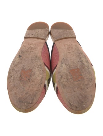 Christian Dior Canvas Graphic Print Mules