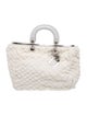 Christian Dior Shearling Top Handle Bag