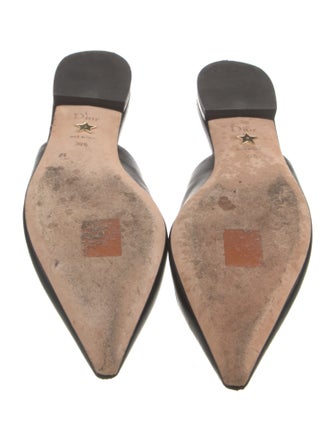 Christian Dior Leather Graphic Print Mules