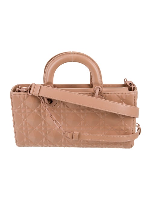 Christian Dior Cannage D-Joy Medium 2022