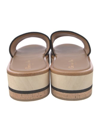 Christian Dior Canvas Striped Slides