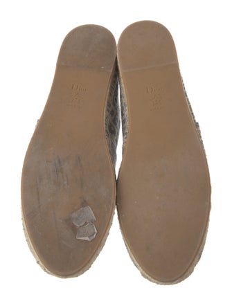 Christian Dior Canvas Printed Espadrilles