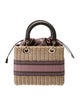 Christian Dior Wicker Lady Dior Medium 2023