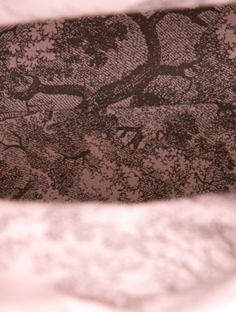 Christian Dior Wicker Lady Dior Medium 2023