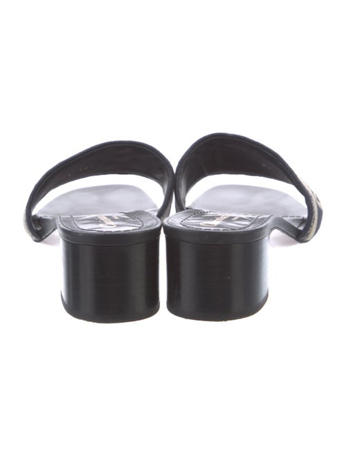 Christian Dior Striped Slides