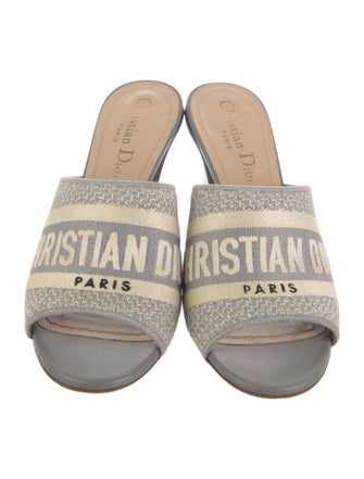 Christian Dior Canvas Graphic Print Slides