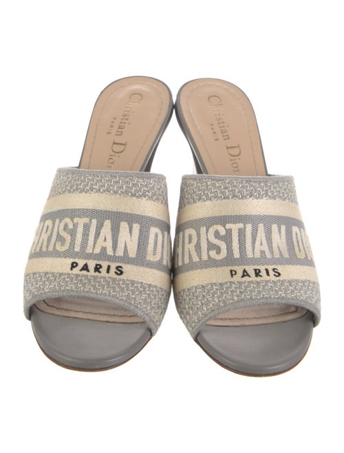 Christian Dior Canvas Graphic Print Slides