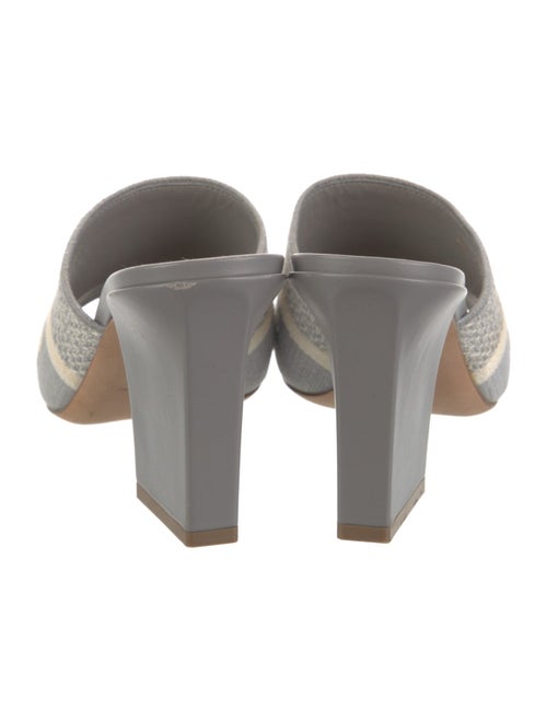 Christian Dior Canvas Graphic Print Slides