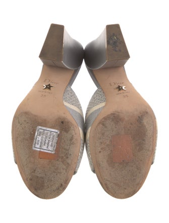 Christian Dior Canvas Graphic Print Slides