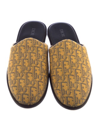 Christian Dior Printed Mules