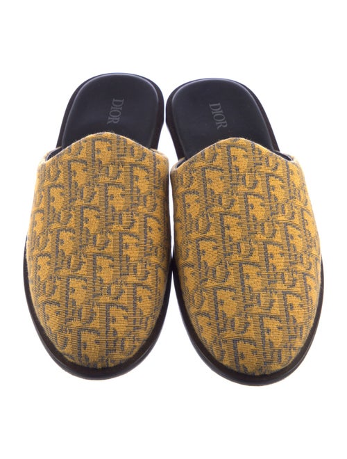 Christian Dior Printed Mules