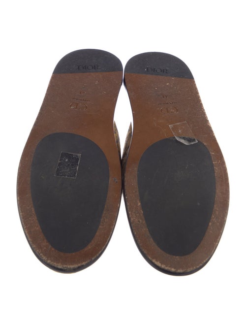 Christian Dior Printed Mules