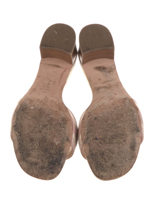 Christian Dior Canvas Printed Slides