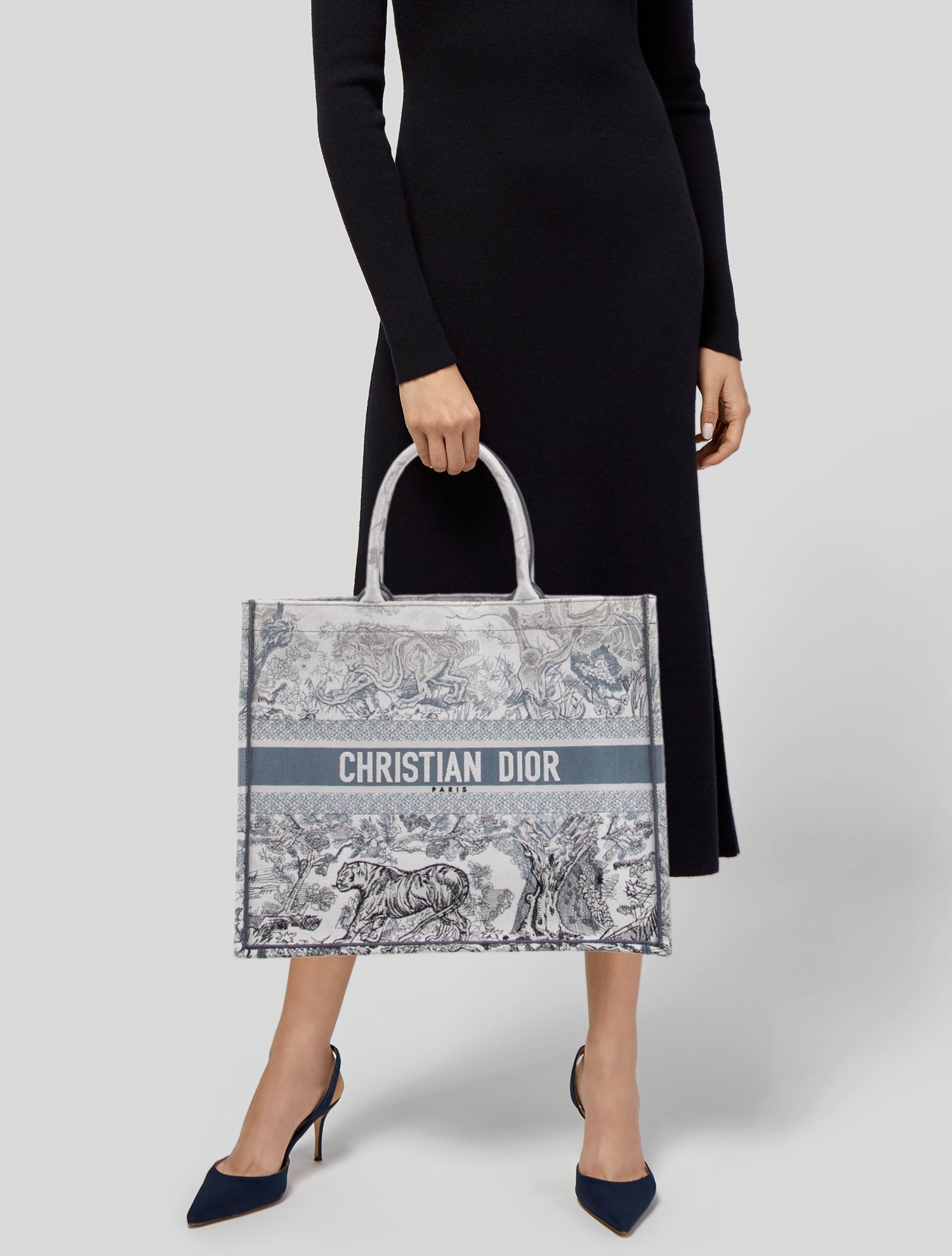 Christian Dior Canvas Book