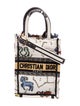 Christian Dior Canvas Book Mini 2022