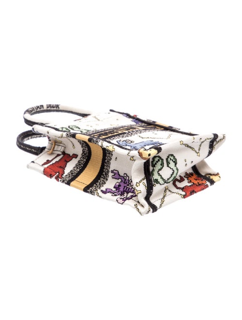 Christian Dior Canvas Book Mini 2022