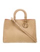 Christian Dior Ostrich Diorissimo Large