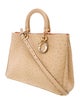 Christian Dior Ostrich Diorissimo Large