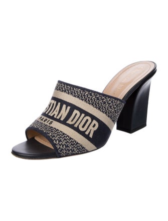 Christian Dior Canvas Printed Slides
