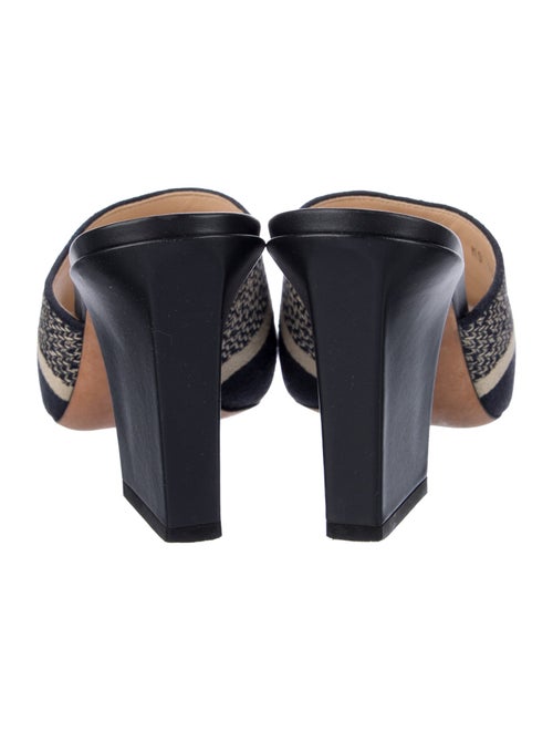 Christian Dior Canvas Printed Slides