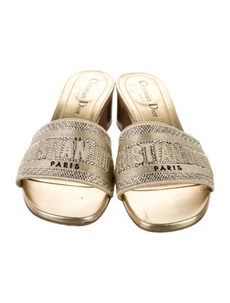 Christian Dior Canvas Slides