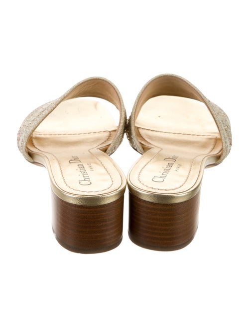 Christian Dior Canvas Slides