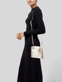 Crocodile Lady Dior Small 2022