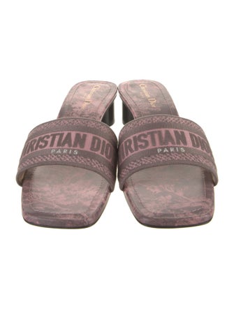 Christian Dior Canvas Printed Slides