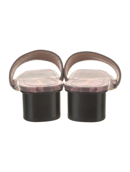 Christian Dior Canvas Printed Slides