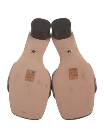 Christian Dior Canvas Printed Slides