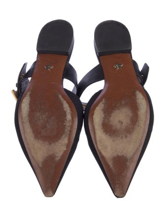 Christian Dior Mules