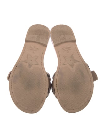 Christian Dior Dior(e)volution Grosgrain Trim Slides