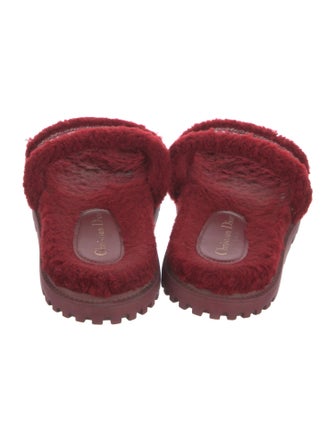Christian Dior Shearling Printed Slides